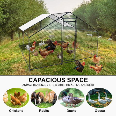 Walk In Heavy Duty Chicken Coop With Large Outdoor Run 9.8 Feet Long 9.8 Feet Wide 6.6 Feet High Sturdy Steel Frame in field