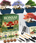 All In One Bonsai Starter Kit For Plant Lovers Grow Four Bonsai Trees At Home With Four Pots Soil Pellets Markers Seed Packets And A Full Tool Set A Clean Gift Idea For Adults Moms Dads And White Elephant Parties product display