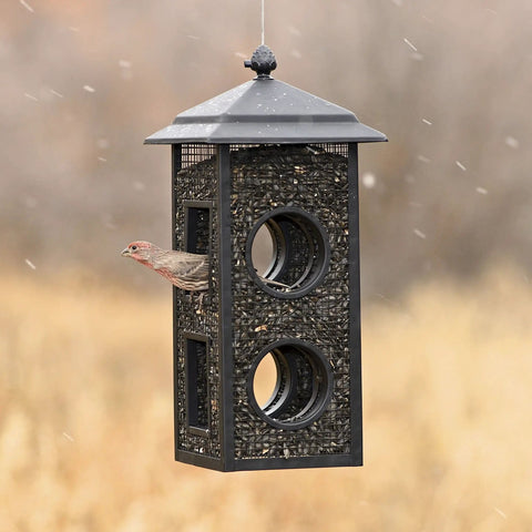 Fly-Thru Wild Bird Feeder With Two Feeding Stations 2 Lb Capacity For Black-Oil Sunflower Seeds Outdoor Bird Feeder For Clinging Birds