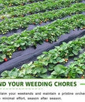Heavy Duty Weed Barrier Landscape Fabric 3x100ft 3.2oz Garden Cloth Ground Cover installed in strawberry beds with lush plants
