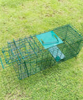 Foldable Humane Live Animal Cage Trap Kit 26 Inch No Kill Catch And Release Two Door on grass, steel mesh frame, green color.