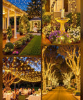 Auto On Solar Spotlight Kit With Remote Timer, Dope 3 Color Modes And 3 Brightness Levels illuminating garden and patio