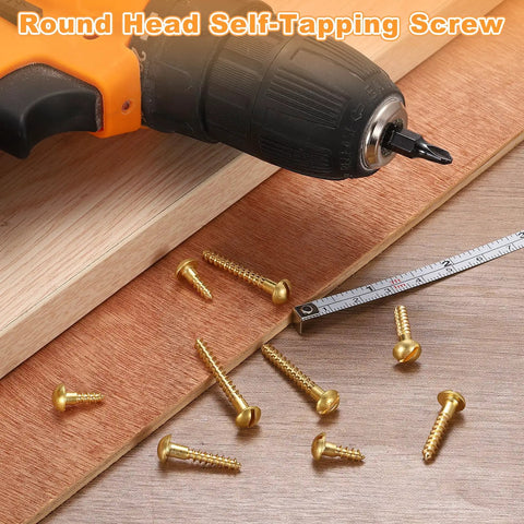 Rock Solid Copper Wood Screws M5 X 20Mm Slotted Round Head Self Tapping Fasteners Built Tough For Heavy Duty DIY Woodworking Jobs And Quick Home Fixes 20 Piece Pack with drill and wooden surface.