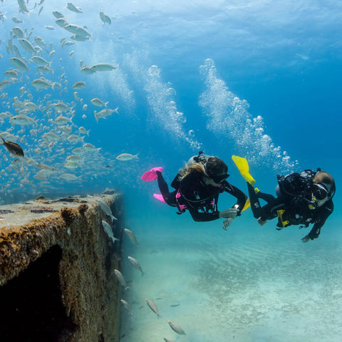 Divers using G2 Wrist Dive Computer and Transmitter Bundle with Hoseless Air Integration underwater near a reef with fish