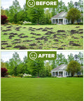 Before and after using Lawn Leveling Rake With 78 Inch Adjustable Steel Handle for yard cleanup, showing uneven and smooth grass.