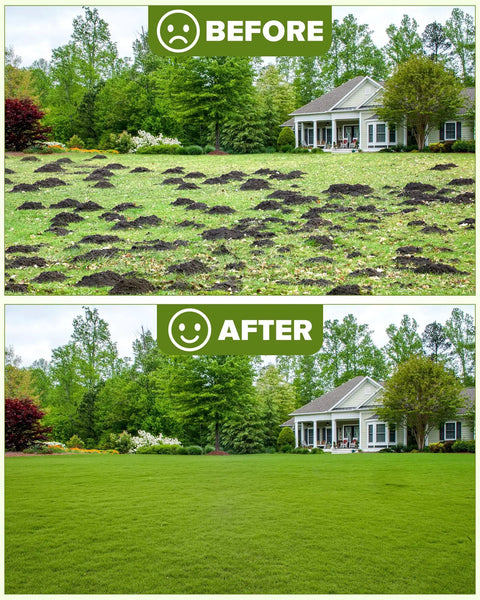 Before and after using Lawn Leveling Rake With 78 Inch Adjustable Steel Handle for yard cleanup, showing uneven and smooth grass.