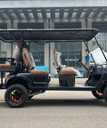 2026 Model 4 Plus 2 Seater Electric Golf Cart With 48V Lithium Ion Battery Long Range And 14 Inch Off Road Tires Solid Black side view with brown seats