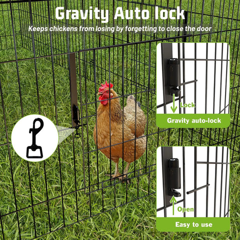 Durable Metal Chicken Coop 86 By 40 By 40 Inch With Waterproof Cover showing gravity auto-lock feature and chicken inside
