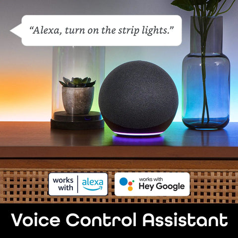 Smart LED Strip Lights RGBIC Neon Color Changing With WiFi App Control And Music Sync, Works With Alexa And Google Home