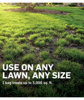 Lawn treated with Awesome Lawn Fungicide For Disease Prevention And Control Keeps Your Grass In Check Against 26 Lawn Diseases Like Brown Patch And Pythium Blight Treats Up To 5000 Sq Ft In A 10 Lb Bag