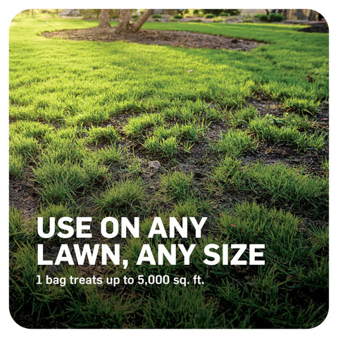 Lawn treated with Awesome Lawn Fungicide For Disease Prevention And Control Keeps Your Grass In Check Against 26 Lawn Diseases Like Brown Patch And Pythium Blight Treats Up To 5000 Sq Ft In A 10 Lb Bag
