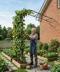 Man tending vines on Half Garden Arch Trellis For Climbing Plants Outdoor, Wall Mounted Beefy Black Metal Arbor, 98.4 W x 94.8 H.