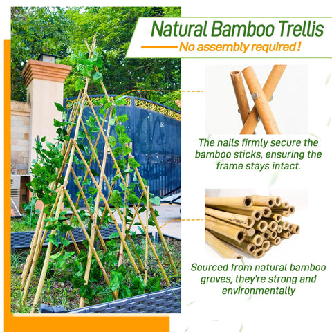 Expandable Bamboo Teepee Trellis For Climbing Plants No Fuss Self Standing Garden Support Perfect For Vines Flowers And Vegetables Indoors Or Outdoors