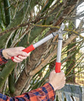 Using Forged Steel ClassicCUT Bypass Hand Pruner for Heavy Duty Garden Pruning on tree branches outdoors, showing pruning process.
