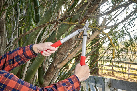 Using Forged Steel ClassicCUT Bypass Hand Pruner for Heavy Duty Garden Pruning on tree branches outdoors, showing pruning process.