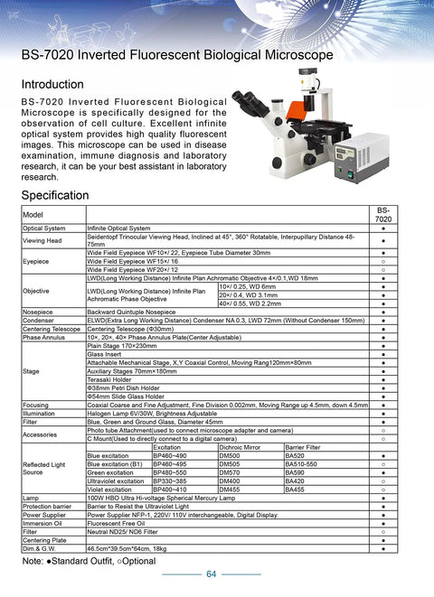 Inverted Fluorescence Trinocular Microscope For Biology Nerds And Lab Pros, 40x-400x magnification, side view with mercury lamp
