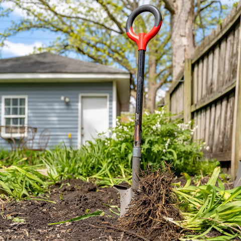 Compact Perennial Garden Shovel With Serrated Blade For Precise Digging And Root Cutting Fiberglass Handle Pro Grade Heavy Duty Steel Spade Red Ideal For Transplanting Perennials Dividing Roots And Working In Tight Garden Spaces shown in use in a garden