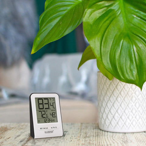 Wireless Indoor And Outdoor Temperature Monitor With Humidity Hi Low Records 12 And 24 Hour Time 330 Ft range displayed near plant