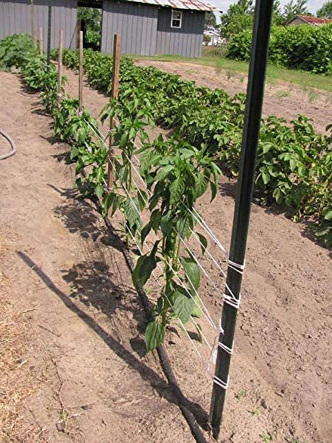 6300 Ft Tomato Twine For Trellising Gardens Heavy Duty Poly Garden String UV resistant supporting tomato plants