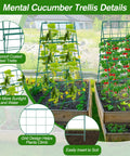 Foldable A Frame Cucumber Trellis For Raised Beds, Metal Garden Support In Coated Steel for climbing plants in use.