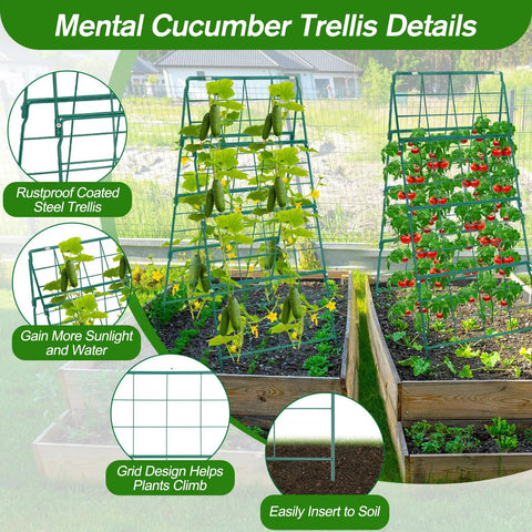 Foldable A Frame Cucumber Trellis For Raised Beds, Metal Garden Support In Coated Steel for climbing plants in use.