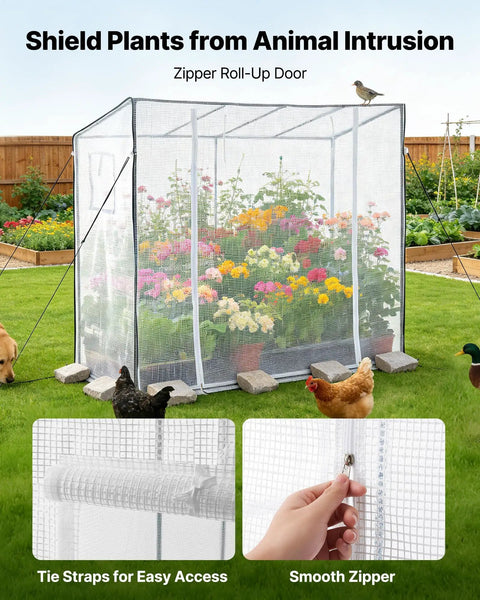Walk In Greenhouse For Outdoors With Windows PE Cover Roll Up Zipper Door 76.8 Inches Long 30.3 Inches Wide 66.1 Inches High Portable
