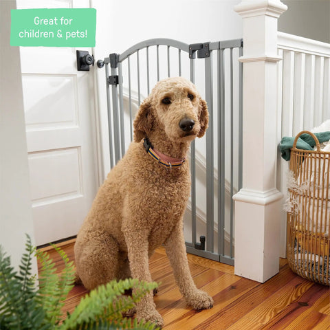 Kid And Pet Safe Gate For Openings 29.5 To 53 Inches Extra Tall 38 Inches No Drill Pressure Mount Or Hardware Mount Walk Through Auto Close Door Fits Doorways Halls Stairs Wall Or Banister Gray
