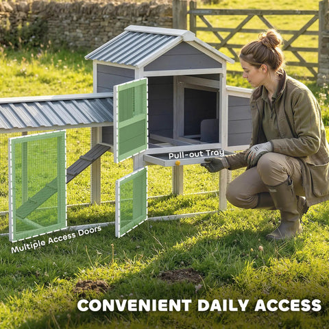 Portable Chicken Coop On Wheels With Run 80 Inch Long Wooden Hen House With Nesting Box Removable Tray And Ramp For Two To Three Hens Outdoor Poultry Cage In Gray Easy To Move with woman accessing tray