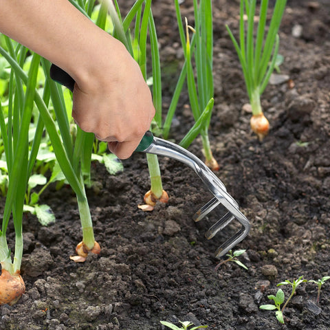 Mr. Pen Black Mini Hand Rake with 3 metal tines; handheld garden cultivator for weeding.