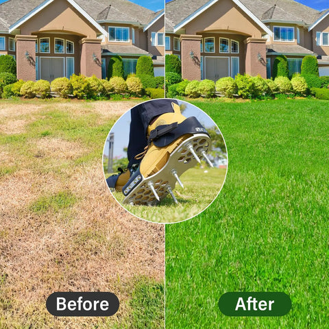 Pro-Grade Lawn Aerator Shoes With 5mm Metal Sole And Bend-Resistant Spikes, Before and After Grass Aeration Results
