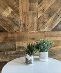 Reclaimed Wood Plank Set For DIY Rustic Accent Wall With Multi Width And Color Kiln Dried And Easy To Install Vintage Vibe From WWII Shipping Containers 10 Sq Ft Coverage Ideal For Home Renovation And Farmhouse Decor shown with plant decor.