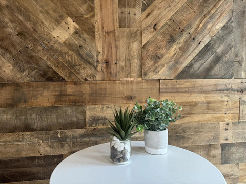 Reclaimed Wood Plank Set For DIY Rustic Accent Wall With Multi Width And Color Kiln Dried And Easy To Install Vintage Vibe From WWII Shipping Containers 10 Sq Ft Coverage Ideal For Home Renovation And Farmhouse Decor shown with plant decor.
