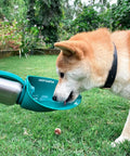 Dog using Big Dog Water Bottle Travel Dispenser 27 or 40 oz stainless steel hydration bottle with fold-out cup outdoors.