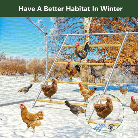 Four Tier Chicken Roosting Perch for Backyard Poultry No Fuss Easy To Assemble Elevated Roosting Bars That Maximize Coop Space