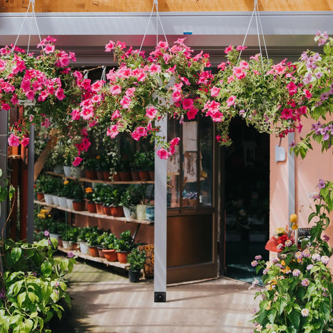 Flower shop entrance with vibrant pink hanging flowers and potted plants on display outdoors.