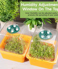 Two sprouting trays with humidity domes and green plants inside, part of the Four Pack Microgreen Sprouting Trays with Humidity Domes 5 By 5 Inches BPA Free 1.2mm Mesh Holes Sprouter Kit For Growing Broccoli Alfalfa Radish Clover Easy Setup.
