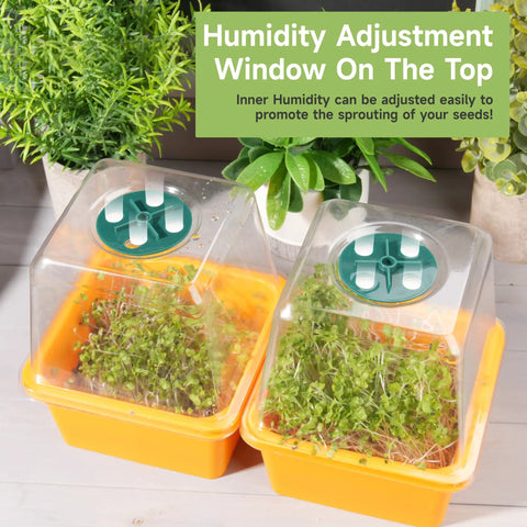 Two sprouting trays with humidity domes and green plants inside, part of the Four Pack Microgreen Sprouting Trays with Humidity Domes 5 By 5 Inches BPA Free 1.2mm Mesh Holes Sprouter Kit For Growing Broccoli Alfalfa Radish Clover Easy Setup.