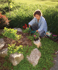 Rain Bird drip irrigation tubing 1/2-inch black 100 ft roll installed in rock garden