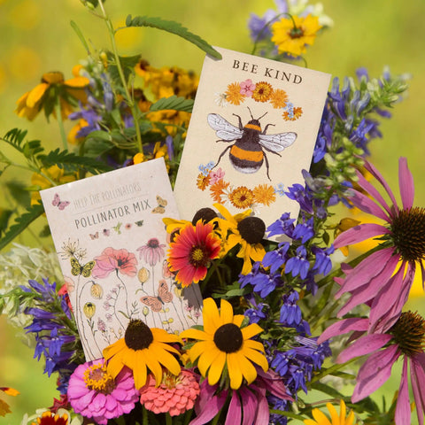Bentley Pollinator Mix Ready-To-Sow Wildflower Seeds Packets displayed among blooming colorful flowers