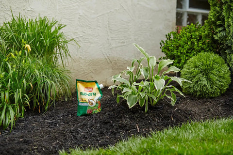 Bug Geta Snail And Slug Killer 2 Slug Bait in garden, 6 lb bag, OMRI Listed Organic Pest Control For Gardens And Lawns Safe For Pets