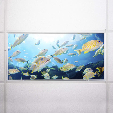 Fluorescent Light Covers For Classrooms And Offices To Kill Harsh Glare And Eye Strain Headache Free Ocean Themed Diffusers In School Master Fish Color