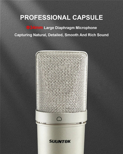 Professional XLR Condenser Microphone With 34mm Large Diaphragm Cardioid Pattern, sleek silver finish, close-up of grille and capsule