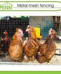 Chickens behind Heavy Duty 19 Gauge Metal Hardware Cloth 1/2 Inch Mesh, 36 Inch by 100 Foot Galvanized Chicken Wire Fencing Mesh Roll