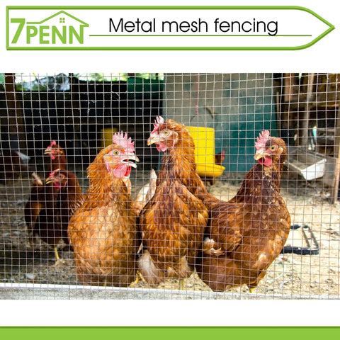 Chickens behind Heavy Duty 19 Gauge Metal Hardware Cloth 1/2 Inch Mesh, 36 Inch by 100 Foot Galvanized Chicken Wire Fencing Mesh Roll