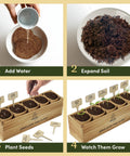 Bonsai Starter Kit With Five Varieties Black Locust Blue Jacaranda Crape Myrtle Pigeon Pea Delonix Regia All In One Deluxe