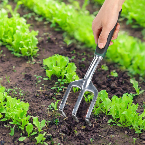 Side view of Mr. Pen black mini hand rake with metal 3-prong fork being used to turn soil among greens.
