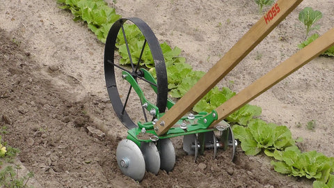 Disk Harrow Attachment on wheel hoe cultivating soil in garden with green plants, ideal for shallow cultivation and weed prevention.