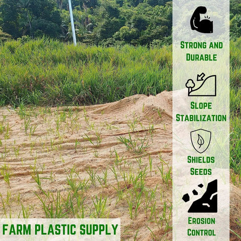 Installed straw erosion control blanket for lawns and slopes, no nonsense moisture retention, 8 ft by 112.5 ft, slope stabilizer.