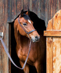 Horse tied with 16 Pack Cross Tie Rings For Horses With Screws Wall Mount Stainless Steel Hitching Rings at barn door
