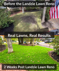 Heavy Duty Lawn Leveling Rake With A 36 Inch Steel Handle For Fast Yard Leveling And A Flat Surface Creation in use; lawn before and after results